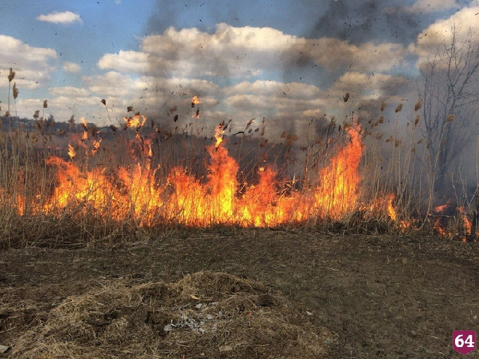 В Саратовской области зафиксировано 428 возгораний сухой травы 