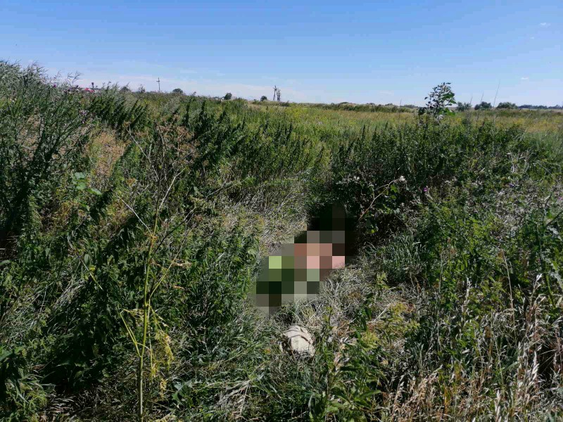 Пастух наткнулся на труп на окраине села