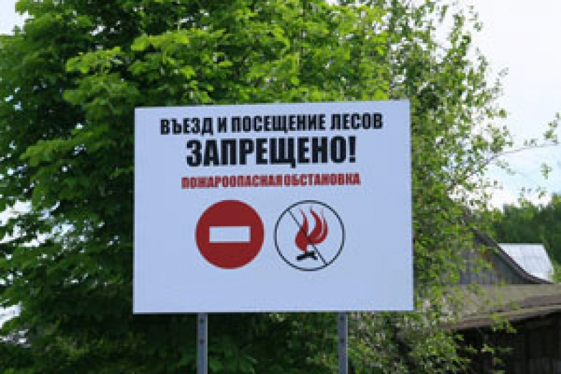Жителям Саратовской области запретили посещение лесов