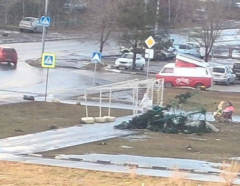 В микрорайоне Саратова вновь упала уличная елка