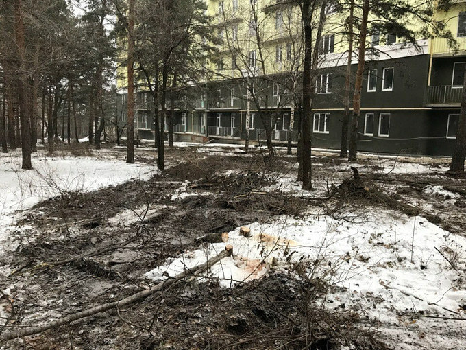 Саратовцы пожаловались на вырубаемый строителями лес в Мирном