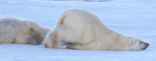 4.gif