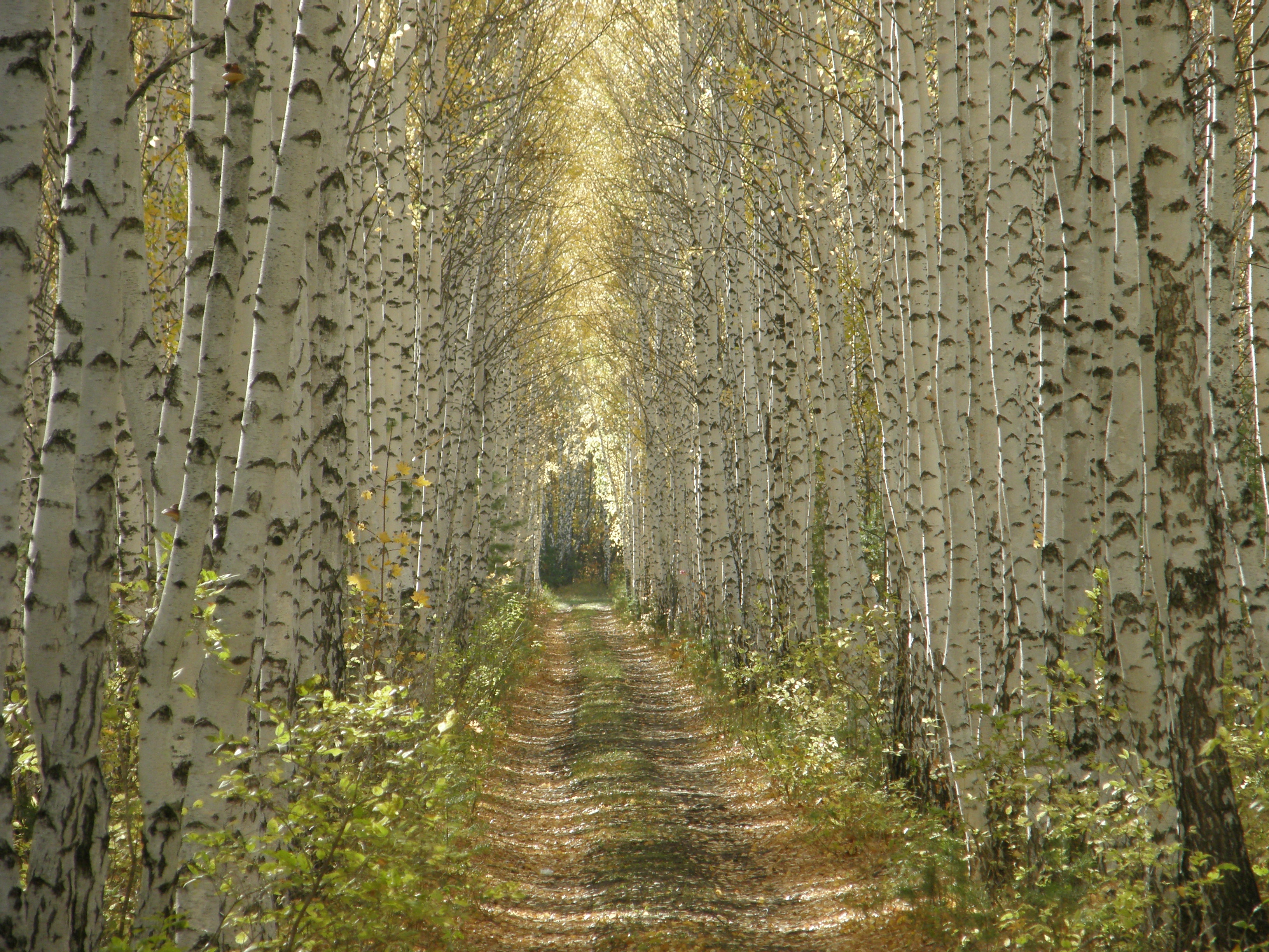 2 фото.JPG