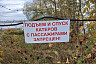 Саратовские детсадовцы и школьники сдали 16 тонн крышек на оздоровление Волги