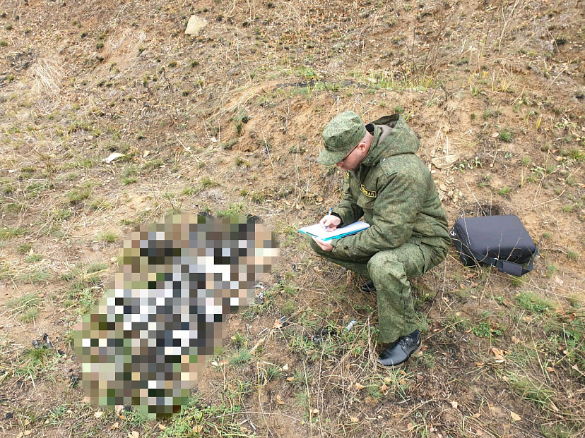 Грибники нашли кости пропавшей без вести пенсионерки