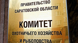 В Саратовской области стартует сезон охоты на кабана и сурка