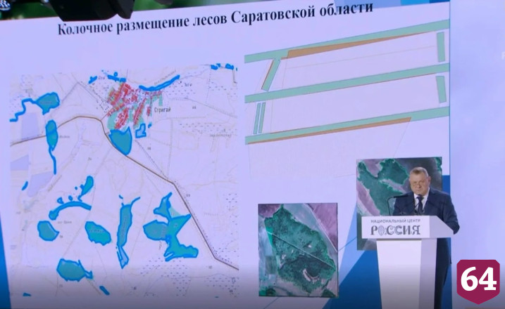 В Саратовской области актуализировали границы лесничеств 