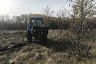 Под Саратовом высадили 200 гектаров леса 