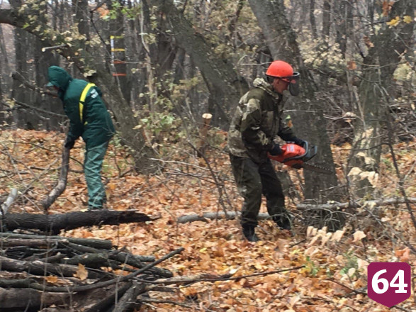 На Кумысной поляне благоустроят 25 родников