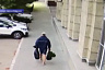 Мужчина надел маску из урны и похитил сосны с проспекта Кирова