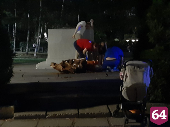 В горпарке Саратова девочка погибла от падения скульптуры кота