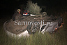 У погибшей в ночном ДТП под Саратовом женщины осталось 2 детей