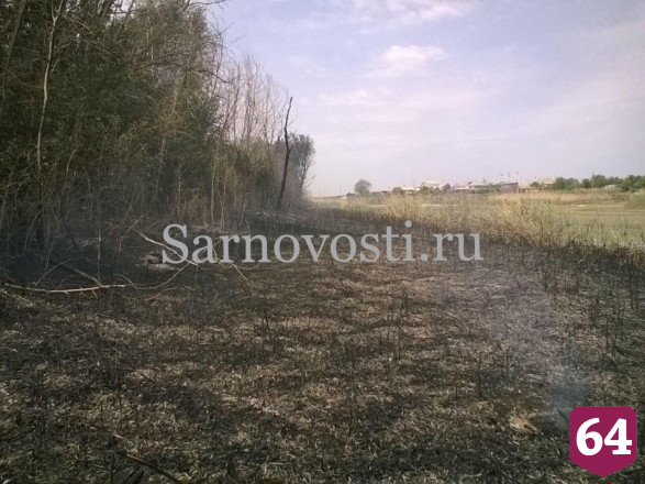 В Саратовской области из-за природного пожара едва не выгорело кладбище