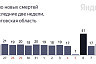 Коронавирус стал причиной смерти саратовцев от 56 до 87 лет