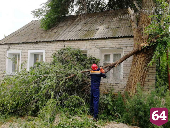 В Саратовской области ураган повалил 132 дерева