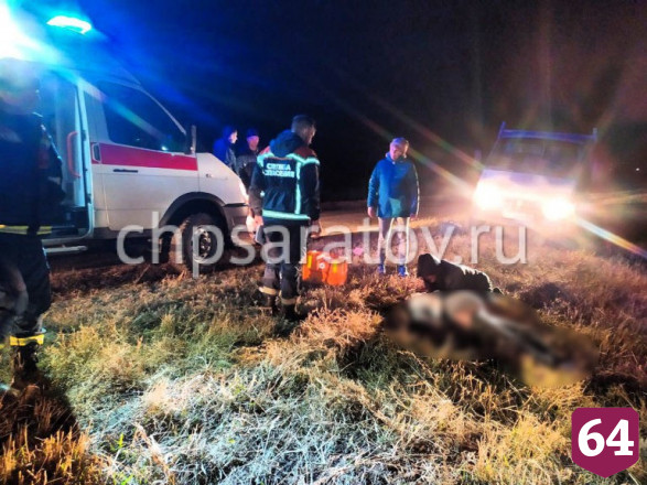 Пьяный водитель «Лады» погубил беременную жену на трассе 