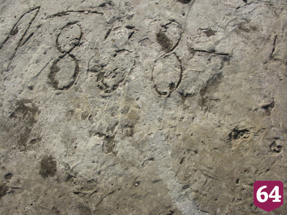 Под Саратовом зажгли огонь памяти на артефакте войны