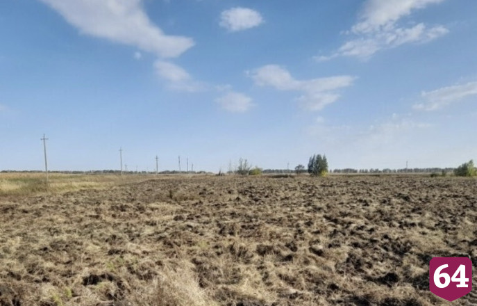 В Саратовской области выявили 85 тысяч гектаров заброшенных земель