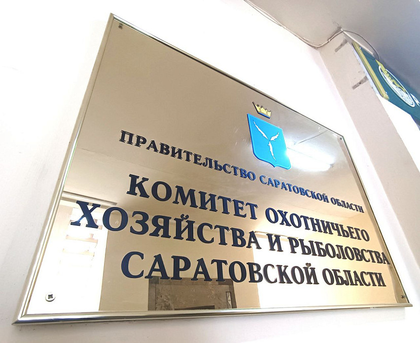 Спикера областной думы возмутила серая зарплата саратовских егерей 