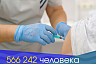 От коронавируса полностью привились более 460 тысяч саратовцев