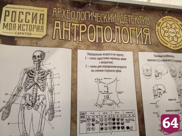 В центре Саратова устроили средневековые бои 
