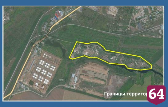 На мусорной свалке под Саратовом вырастят кусты и многолетние травы
