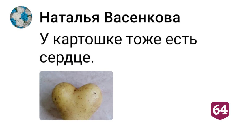 Саратовцы вышли на «Битву урожаев» с грибами-акробатами и длинноносыми томатами