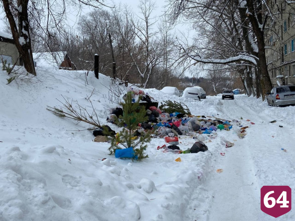 Жители пожаловались на горы мусора у дома и бродячих собак