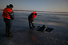 Водолазы прекратили поиски утонувших в Волге малолетних братьев