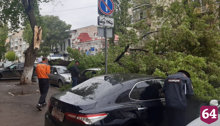 В центре Саратова дерево упало на машины и перегородило дорогу 