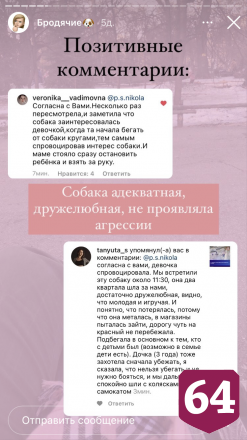 Саратовский кинолог озвучила правила поведения с бродячими собаками