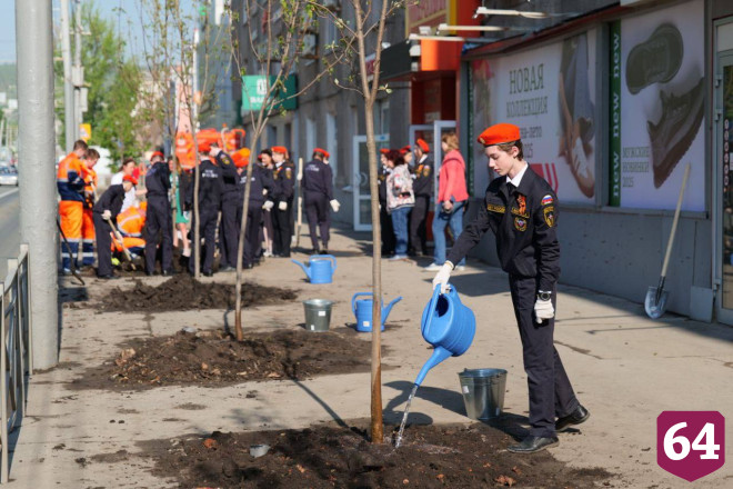 Губернатор высадил клены в центре Саратова