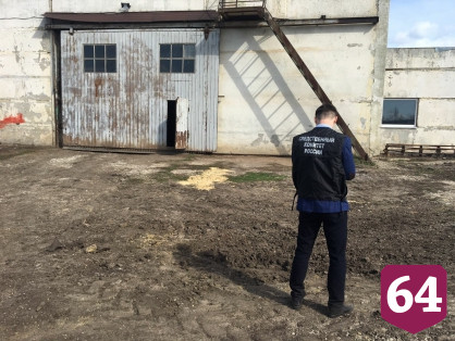Мужчина упал с лестницы на ферме под Саратовом и умер