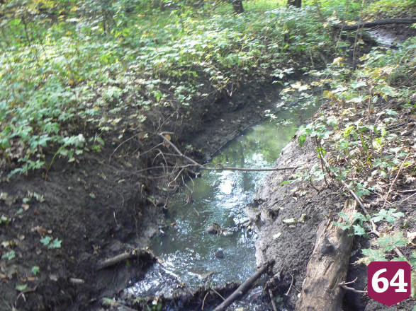 В Саратове канализационные воды попали в реку