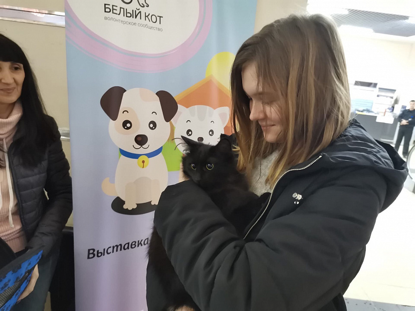 Жители Саратова смогут погладить кошек в торговом центре