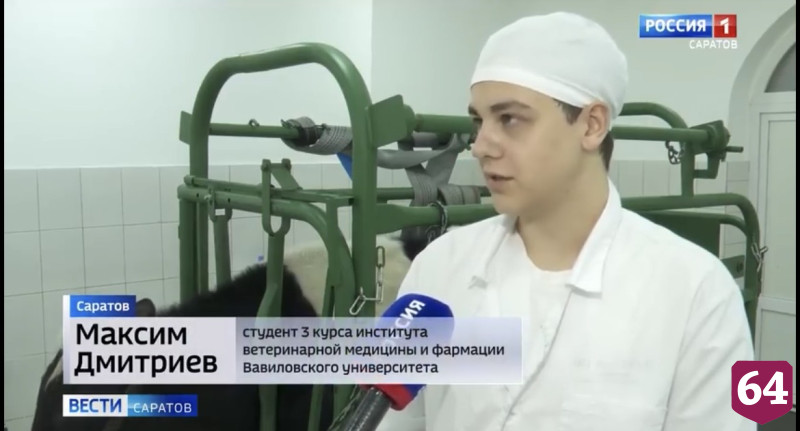 В Саратовской области трудоустроили 60 ветеринарных врачей 