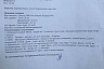 Саратовцы всем миром выхаживают сбитую на трассе собаку Волгу