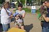В Саратовской области стартовала бесплатная вакцинация от бешенства