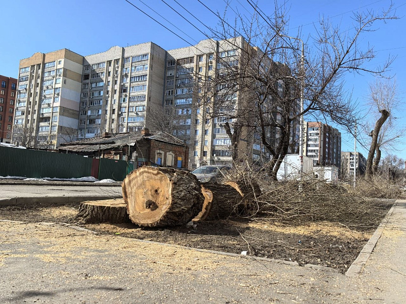 В Саратовской области обещают день без дождя и 9 градусов тепла