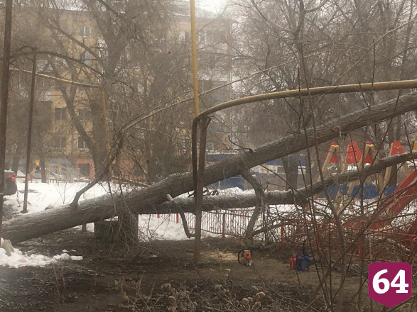В Саратове дерево рухнуло на детскую площадку и повредило газопровод 