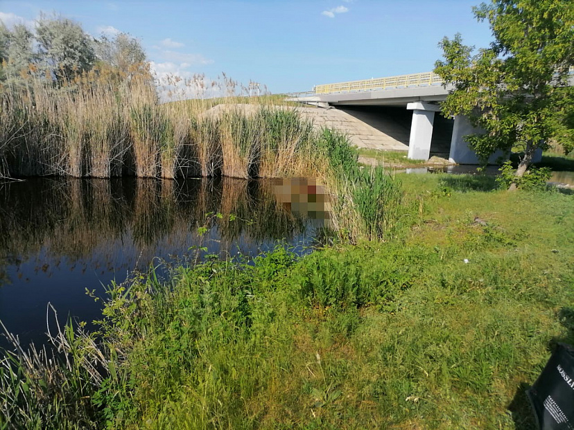 Саратовец заметил у моста утопленника