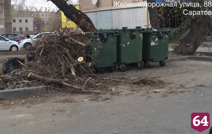 Саратовским УК напомнили об обязанности вывозить ветки из дворов