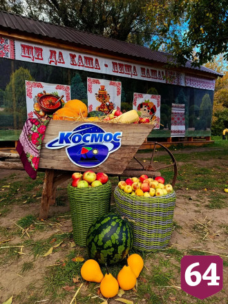 На саратовском фестивале баранины кормили шашлыком и пловом