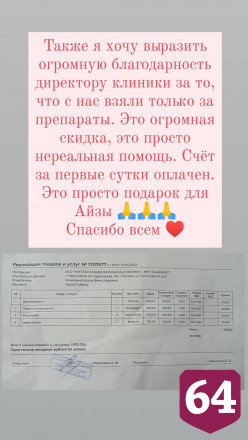 Саратовская юристка спасает выброшенную собаку с опухолью