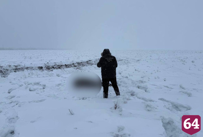 Тело пропавшего под Саратовом подростка нашли случайно