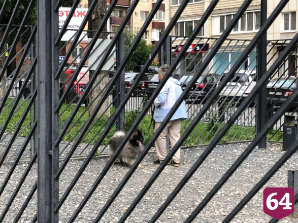 Жители Саратова проводят вечер на прогулках без масок