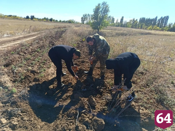 Саратовские поисковики показали детям находки с «Вахты памяти»