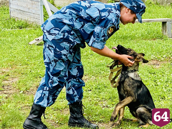 На службу в Самарскую область отправили 8 щенков из Саратова 