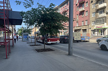 В Саратове из-за ремонта труб не будут ходить троллейбусы 