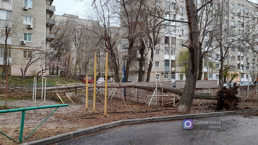 В Саратове дерево рухнуло на детскую площадку